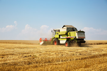 Fototapeta na wymiar Combine harvester working on a golden ripe wheat field on a bright summer day against blue sky with clouds. Grain dust in the air
