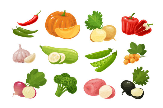 Vegetables, set of colored icons. Farm, food, agriculture concept. Vector illustration