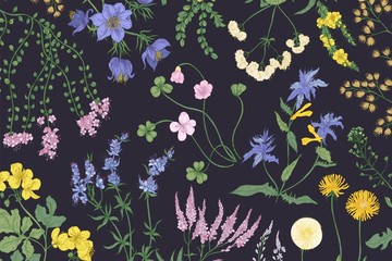 Obraz premium Beautiful horizontal botanical background with romantic blooming wild flowers, summer meadow flowering herbs and herbaceous plants. Elegant floral backdrop. Natural realistic vector illustration.