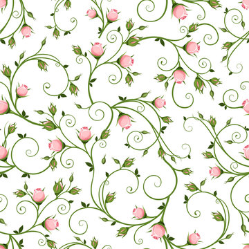 Vector seamless floral pattern with pink rosebuds on a white background.