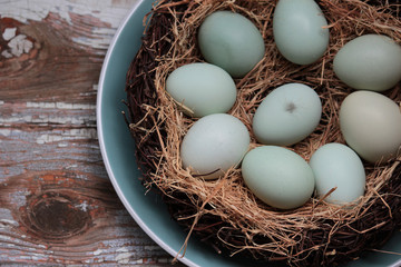 Ameraucana eggs over a wood background