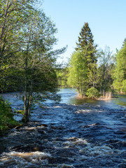 Swedish river and natural salmon area in spring.
Farnebofjarden national park in Sweden.