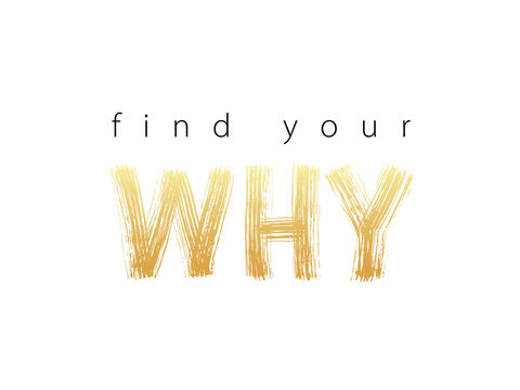 Find Your Why text. Vector illustration. Motivational inspirarional quote. Hand drawn word. Dry brush Modern calligraphy