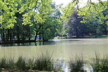 Park at Mochengladbach 6