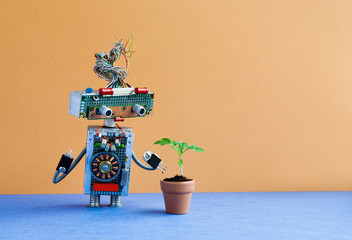 Organic versus artificial inorganic concept. Robot examines a living plant in a clay flower pot....