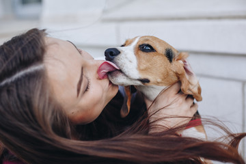Close up cute little beagle dog kissing beautiful young woman. Beagle puppy licking with tongue young brunette girl. Outdoors. Hair in the wind