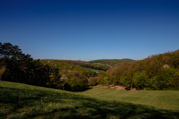 Fototapeta premium hill landscape in spring with various shades of green