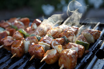 Barbecueing, with smoke agains the low sun