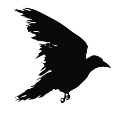 Black silhouette of a raven isolated on white background. Flying crow symbol. Tattoo bird. Vector illustration