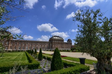 Fototapeta na wymiar Venaria reale, Piedmont region, Italy. June 2017. Tourists explore the magnificent park of the palace. Tree-lined avenues, lawn, olive trees and flowers.
