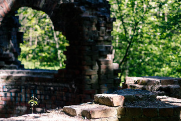 Fototapeta na wymiar the ruins of an ancient mansion