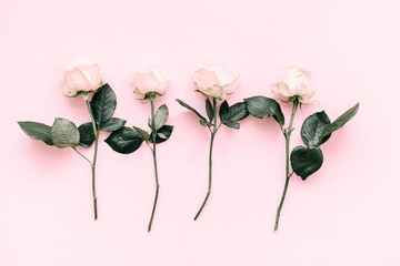 Flowers composition. Border of flowers roses on a pink background. Flat lay, top view, copy space 