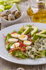 Healthy lunch plate