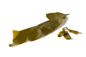 Fototapeta premium Leaf of Japanese kombu soaked seaweed