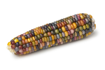  Single colorful gem glass corn on cob © Picture Partners