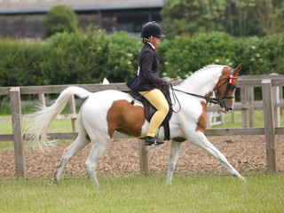 Girl Riding Horse