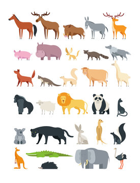 Cute cartoon animals. Forest, savannah and farm animal vector collection isolated on white