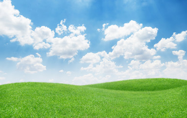 beautiful green grass hills on blue sky background for a nature concept