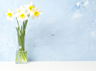 Bouquet of fresh flowers, daffodils in vase on white table, opposite blue textured concrete wall. Empty space for text.