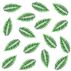 Fototapeta na wymiar Leaves of a palm tree, seamless pattern. Watercolor illustration. Seamless pattern with palm fronds on a white background. Suitable for fabric, packaging, cover, clothing and as an element of design.