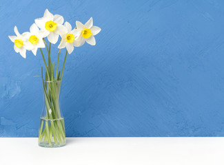 Bouquet of fresh flowers, daffodils in vase on white table, opposite blue textured concrete wall. Empty space for text.
