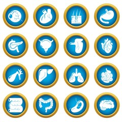 Internal human organs icons set. Simple illustration of 16 internal human organs vector icons for web