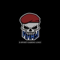 Army skull logo
