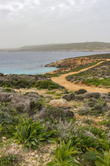 Fototapeta na wymiar Comino landscape with island vegetation, part of the Blue Lagoon and Gozo in the distance