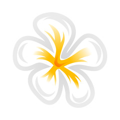 Frangipani flower head icon