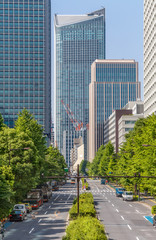 新緑と東京のビル群