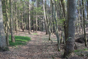 Wadgassen Allemagne 66787