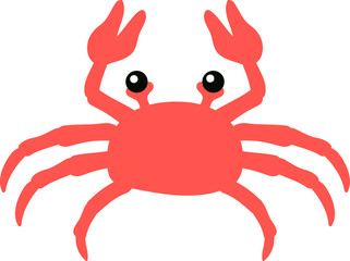 Real crab illustration