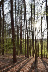 Wadgassen Allemagne 66787