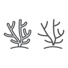 Coral line and glyph icon, ocean and underwater