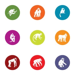 Simian icons set. Flat set of 9 simian vector icons for web isolated on white background
