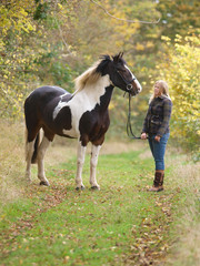 Girl With Horse