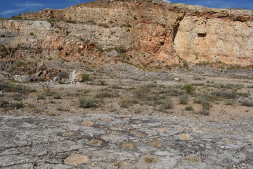 Cava Pontrelli - Altamura (Ba) - Impronte di Dinosauri