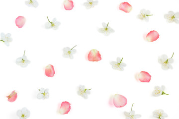 Floral pattern.White cherry flowers and pink rose petals on white background