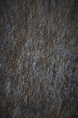 Texture of old plaster