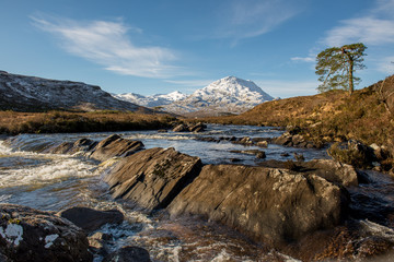 lone tree by flowing river in Scottish highlands
