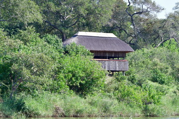 hide Shipandani in Kruger national park in South Africa,region Mopani