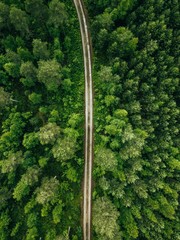 Aerial top view of a country road through a fir forest in summer rural Finland
