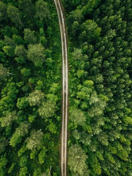 Fototapeta Aerial top view of a country road through a fir forest in summer rural Finland