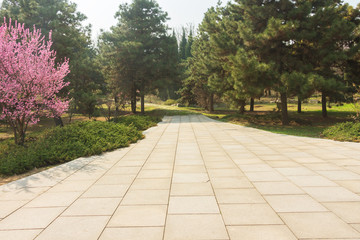 Pathway in garden, Green lawns with bricks pathways