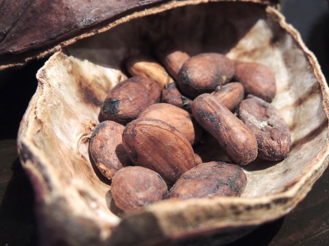 Tyramin Bilder Durchsuchen 150 Archivfotos, und Videos