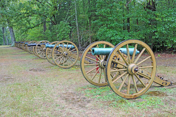 Fototapeta na wymiar Row of cannons - Shiloh National Military Park, Tennessee