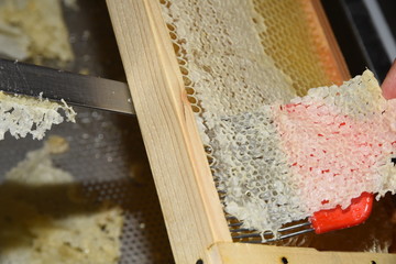 Entdeckelungsgabel auf den Honigwaben