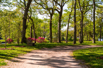 A Walk in the Park