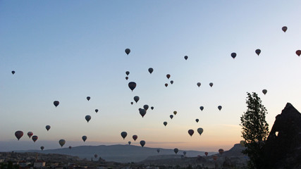 balloons in morning light