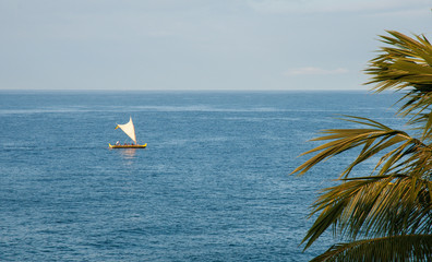 hawaii tropical sailing boat